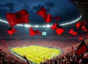 半岛体育在线-西悉尼流浪者球迷现场助威，激发球队夺冠斗志