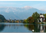 半岛体育官方-斯洛文尼亚奥地利，对决看点不容错过的简单介绍