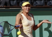 半岛体育官网-波兰火力全开，三连胜轻松赢球的简单介绍