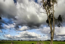 半岛体育课程-山西主场逆转获胜，积分攀升