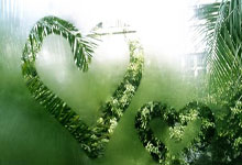 半岛体育官网入口-河南队主场落败，陷入两连败——球迷们的心情何时能恢复？