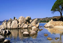 半岛体育教练-美国运动员豪取佳绩，领跑各项比赛